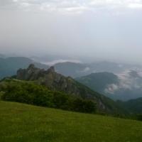 تصویر مازیار رضایی