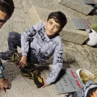 تصویر امیر طاها علیمحمدی
