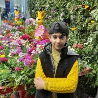 تصویر امیر علی عالی نژاد